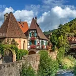 Le De Vitazensel *
