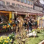 Le De Vitazensel Holiday home Wintzenheim