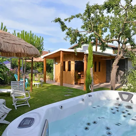 Дом отдыха Le De Vitazensel *