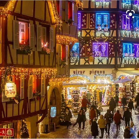 Дом отдыха Le De Vitazensel *