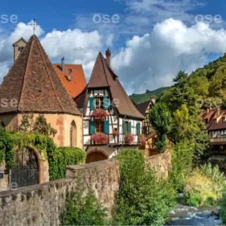 Le De Vitazensel *
