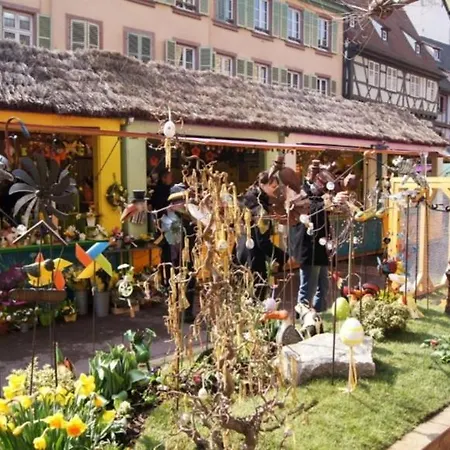 Le De Vitazensel Dom wakacyjny Wintzenheim