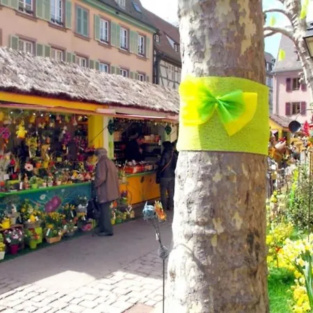 Дом отдыха Le De Vitazensel *