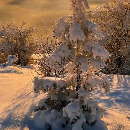 Дом отдыха Le De Vitazensel Винтсенайм