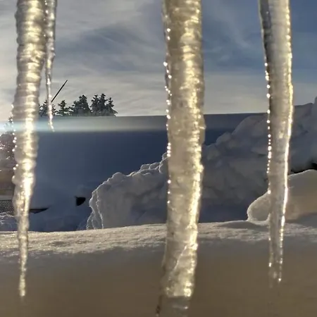 Le De Vitazensel Винтсенайм