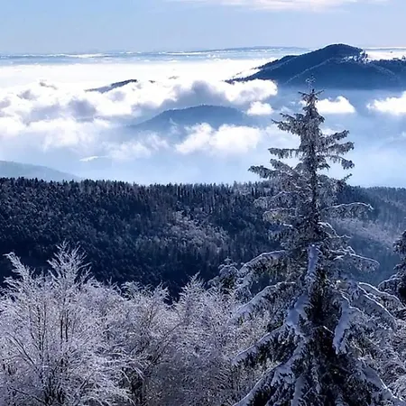 Le De Vitazensel Дом отдыха *